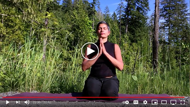 FN_20mLeadMagnetYogaVideo Farah Nature Yoga Video
